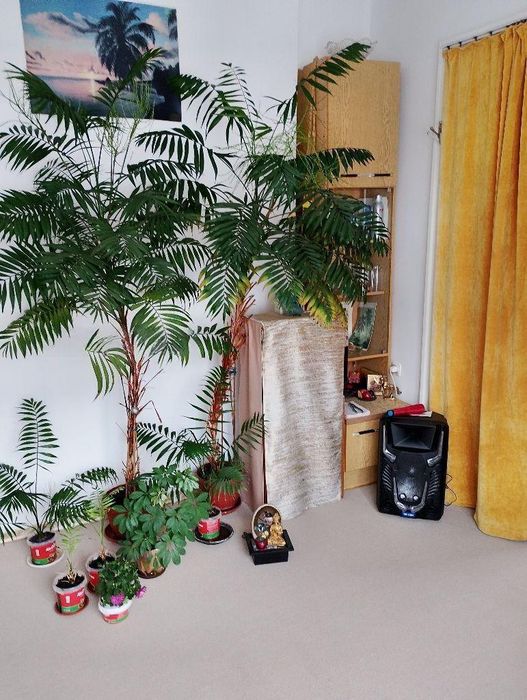 Продава се Двустаен апартамент в София, Център - 53 кв.м за 2695 €/кв.м - Снимка #2