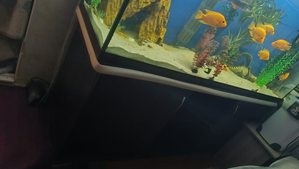 Аквариум 650 литров