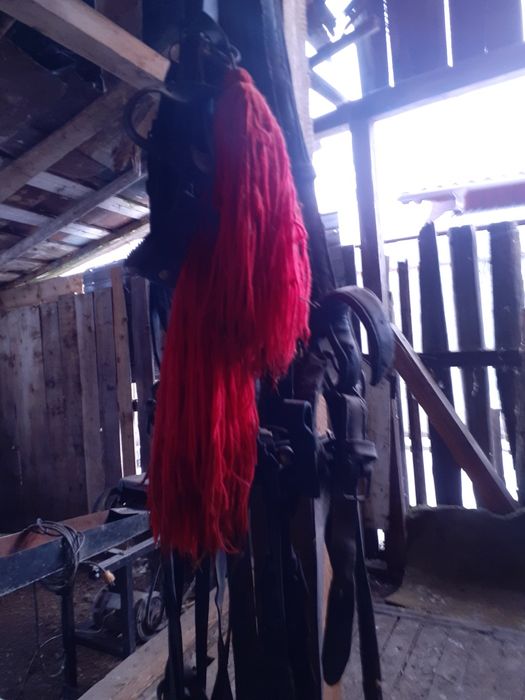 Vând ham pentru cai