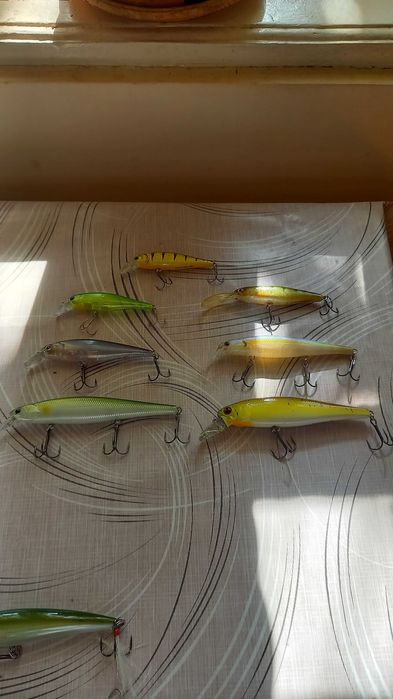 Pointer и Rapala  на ниски цени