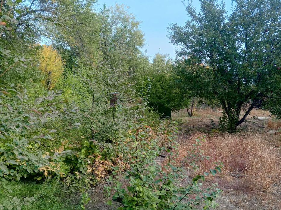 Продам дачный участок