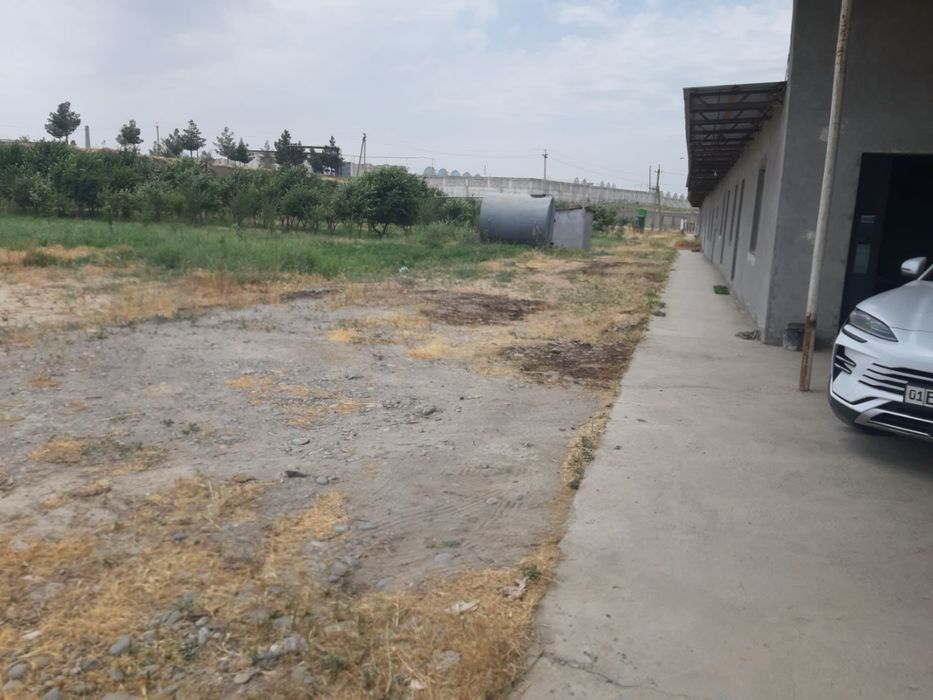 Ер сотилади (тайер бинолари хам мавжуд) 1 гектар