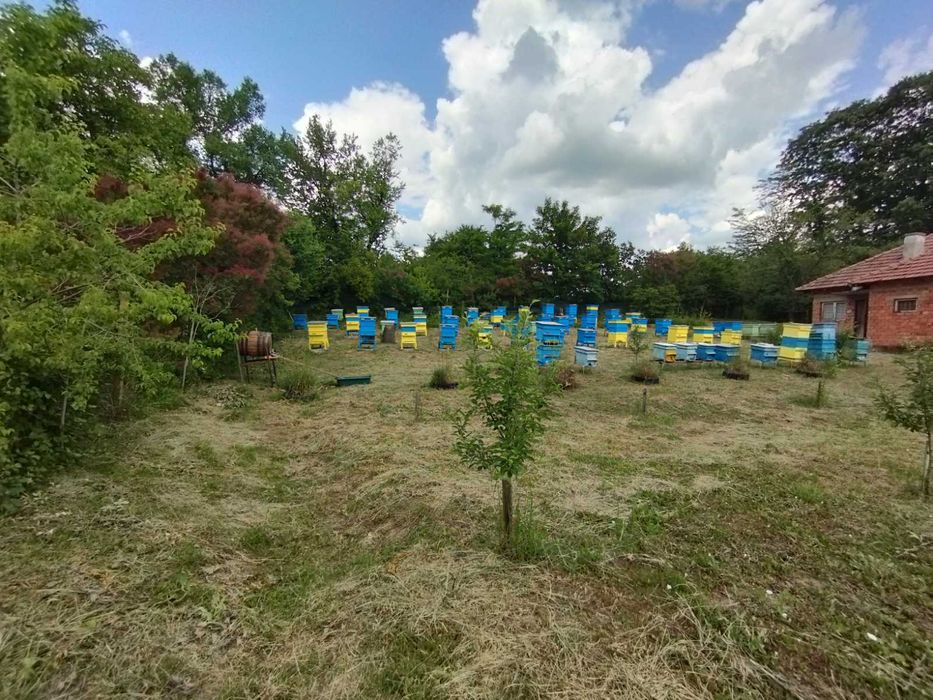 Продава се Къща в Исперих - 1151 кв.м за 10 €/кв.м - Снимка #4