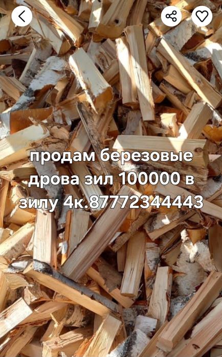 Дрова берёза рублинная