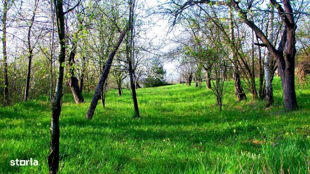 Domeniu exclusivist cu izvor propriu – Cheile Turzii / Munții Apuseni