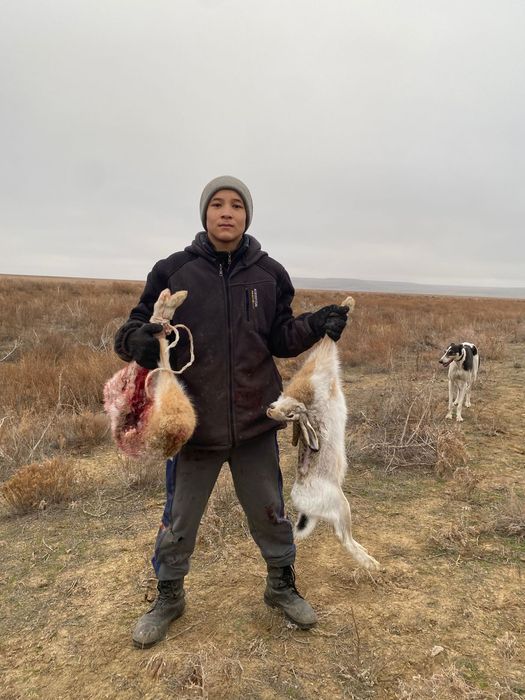 Хортый 4 жасар..