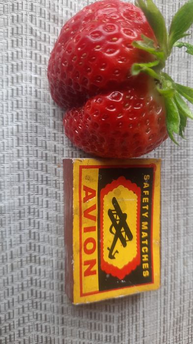 Продам сортовую клубнику