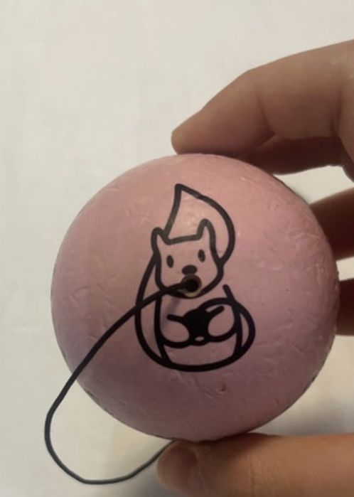 Tama erracticquirell