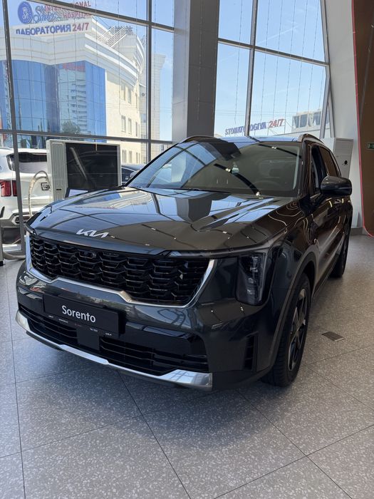 Sorento RASSROCHKA bor 2026