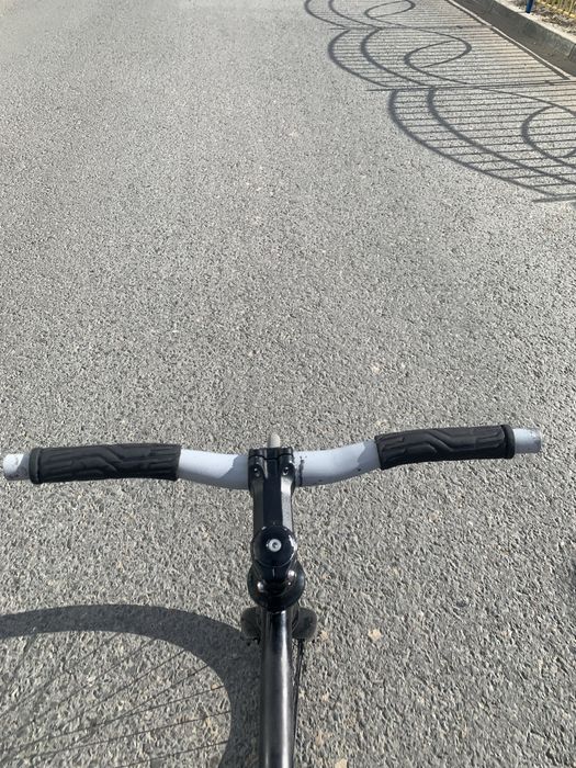 Продам хорс  срочно
