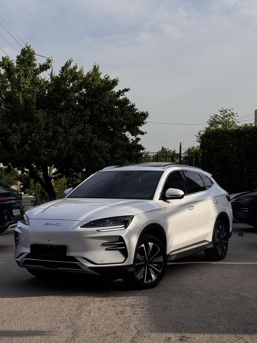 BYD chempion 2025 restaling