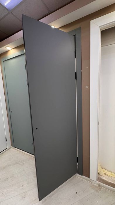 Двери (только полотно)