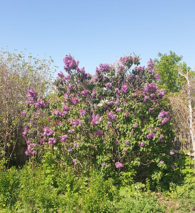 Дача сообщество Уралочка