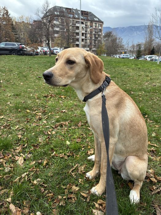 Кари на 8 месеца