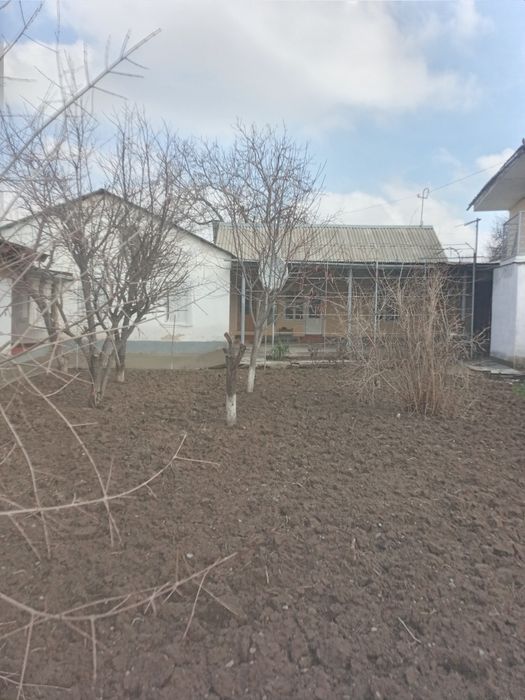 чирчике  участок