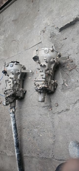 xitoy damas kotta karobka