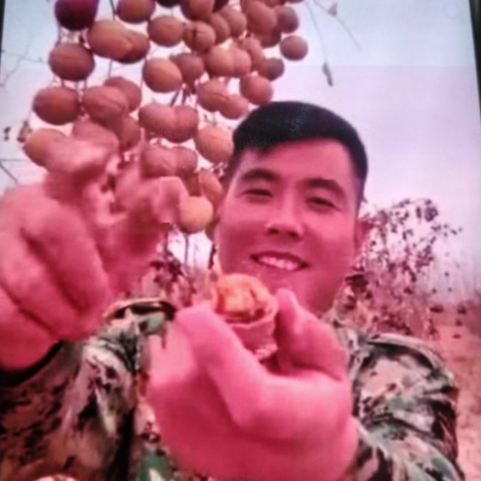 Ерон писта кирим йонгок хитой йонгок ЮБо 80 номи кучатлари бор