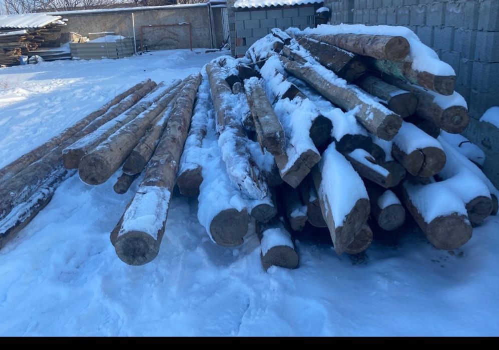 Кругляк бар сатылады