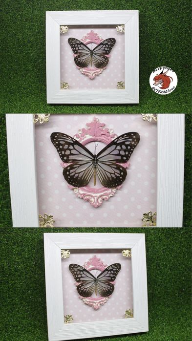 Бабочки в рамке оформленные