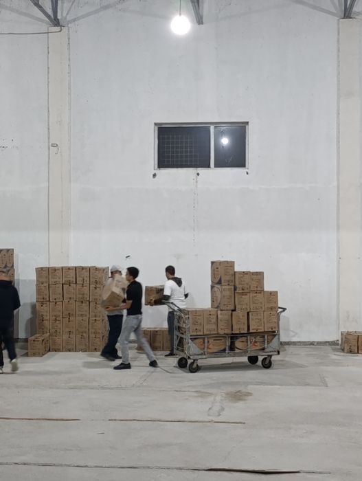 Грузчики по вызову