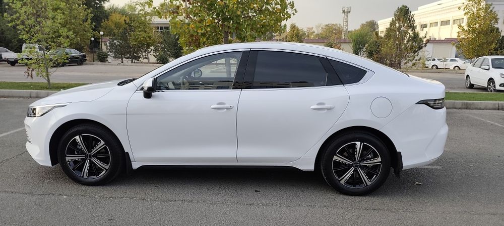 BYD Chazor flagship 120 км full позиция.