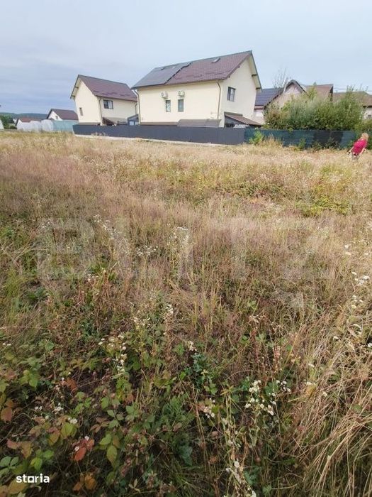 Teren intravilan 1778 mp | Trivale | Smeura | Negociabil
