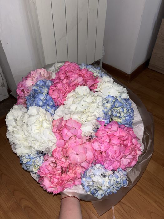 Красивые,свежие цветы