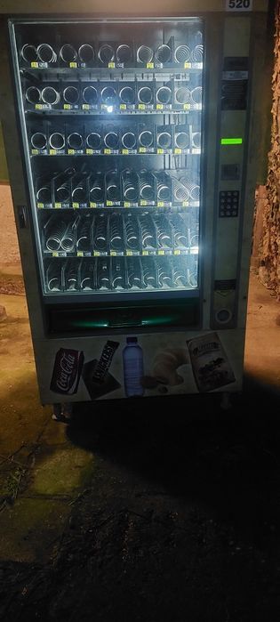 Зануси  Спринг 1000