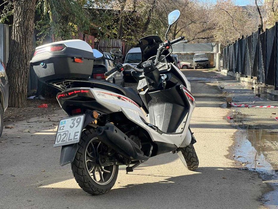 Аренда мопедов M8, Maxi, Samurai