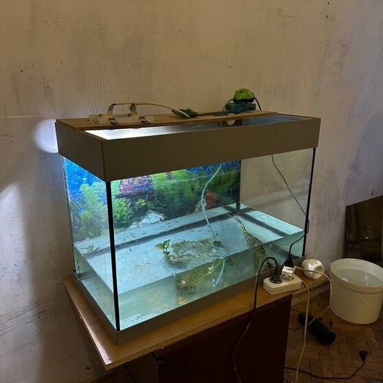 Аквариум в хорошем состоянии