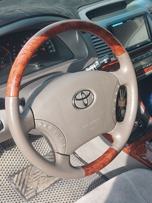 Ипсум ипсун ipsum picnic пикник