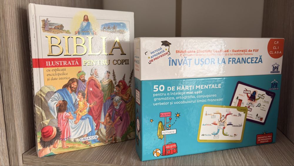 Carti copii Jurnalul unui pusti, Adevaratii porumbei, editura arthur
