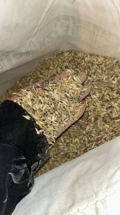 Зерноотходы чистые без пыли