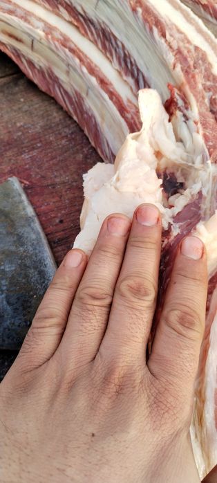 продам  таев с откорма