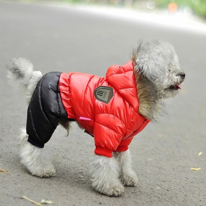 Кучешки дрешки яке гащеризон за куче зимно луксозно с качулка худи