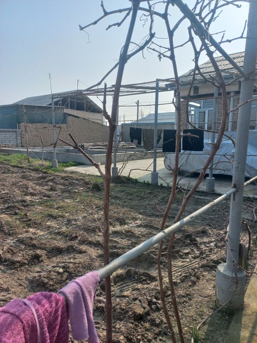 Уйга кафолати билан