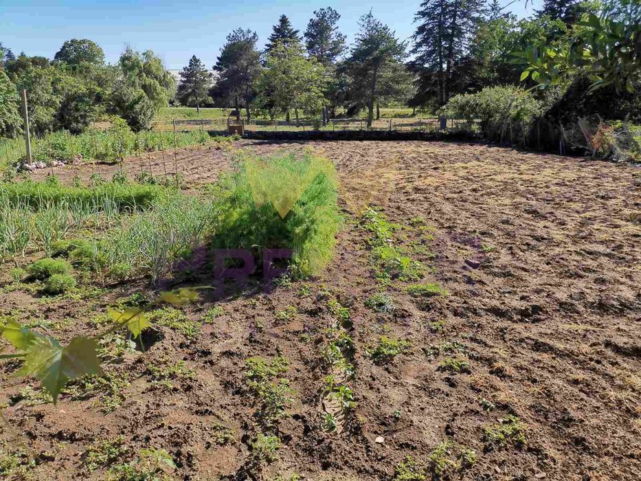 Къща в Добрич, област-с.Соколово площ 140 цена 99000