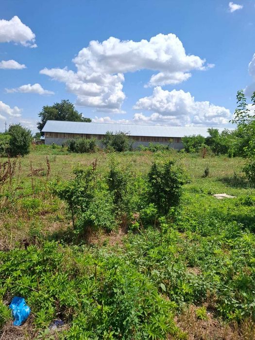 Casa de vanzare si teren Caracal, Jud Olt