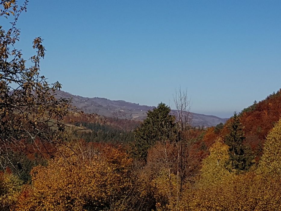 Teren la munte poiana marului brasov