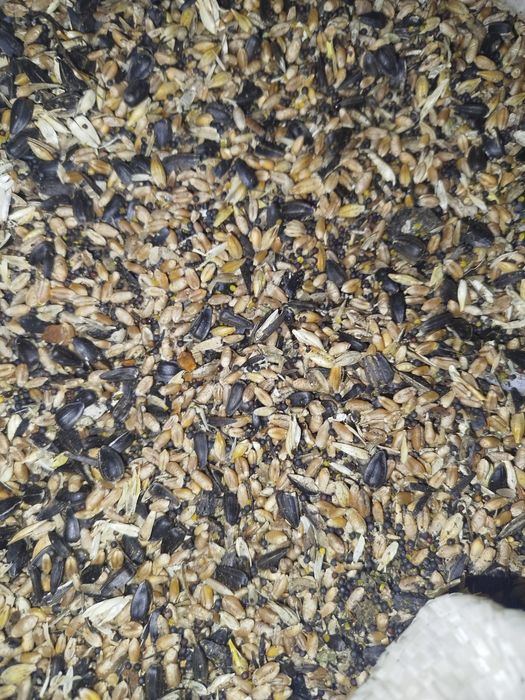 Зерносмесь мешками.