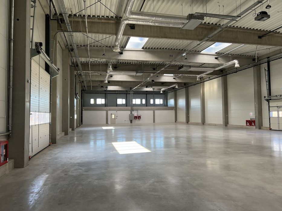 Hala depozitare 1000 m2 + 220 m2 birouri