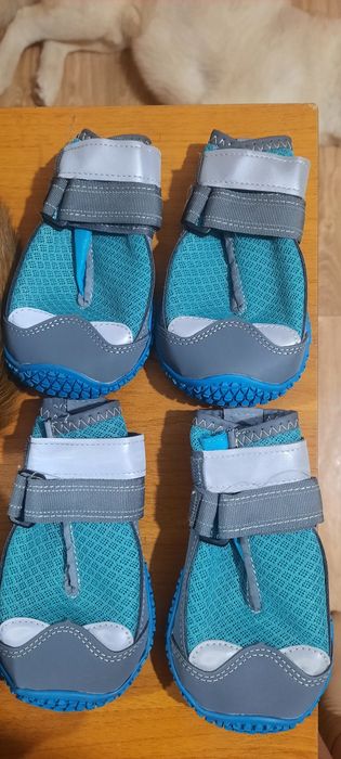 Продам обувь для собак