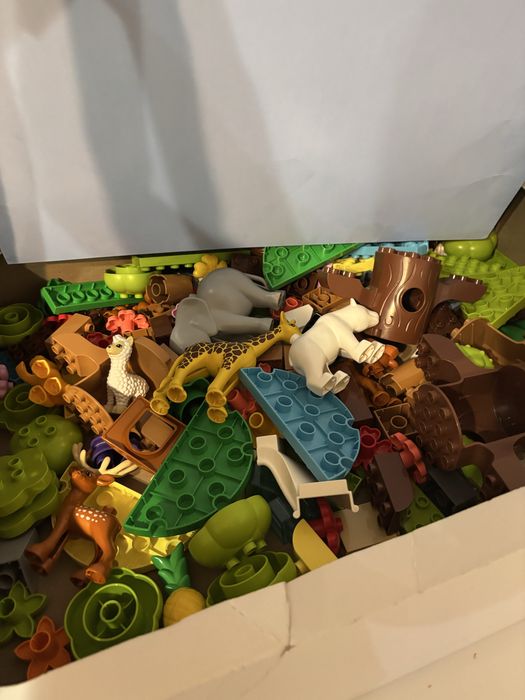 Lego duplo Wild Animals of the World