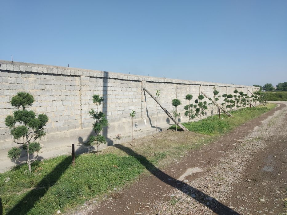 Ер сотилади 6000.