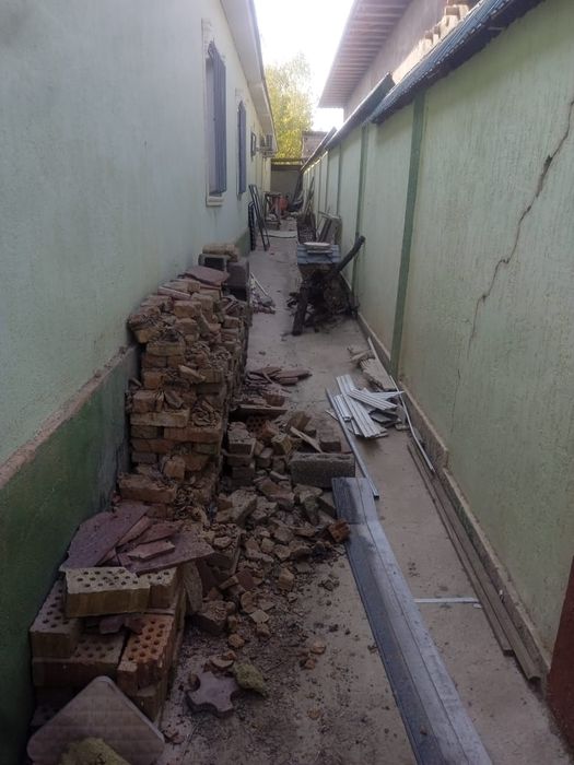 Тал кесемыз, спилим дерево