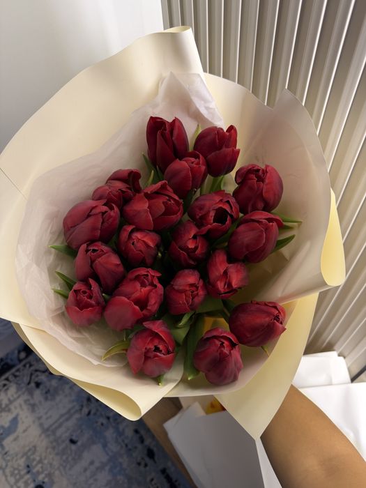 Цветы гулдер тюльпан очень красивые цветы