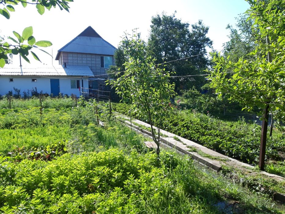 Продам жилую дачу