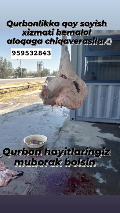 Qurbon Haiti uchun Qassob bor