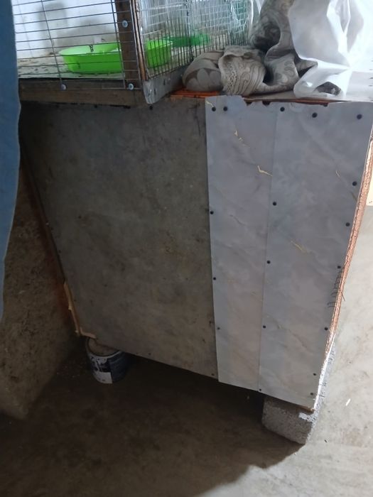 Katag sotladi 20000 bulshi