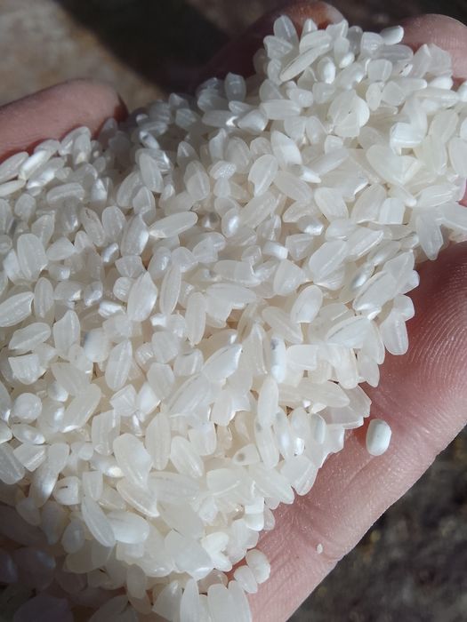 Лидер күріш сатылады